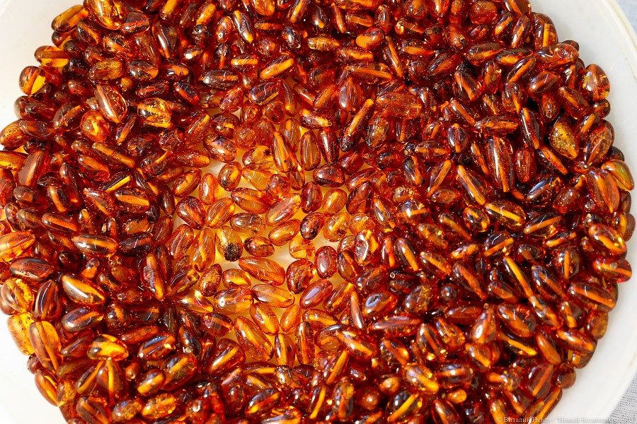 _NEV7813.jpg _NEV7813.jpg