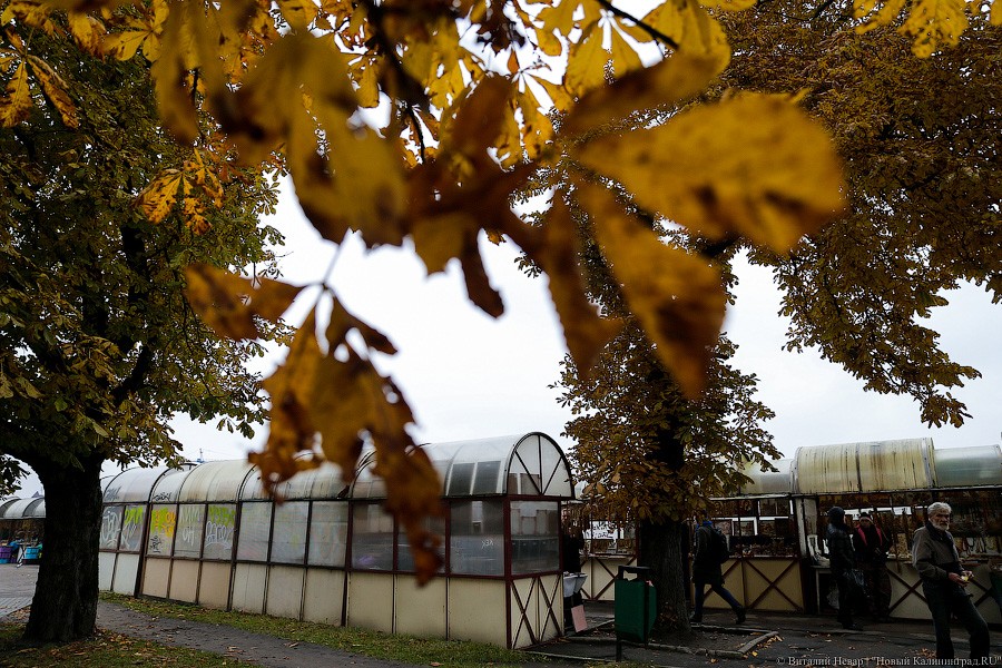 55f6f428efcf8011fc13b8b0310c8ca1.jpg 55f6f428efcf8011fc13b8b0310c8ca1.jpg