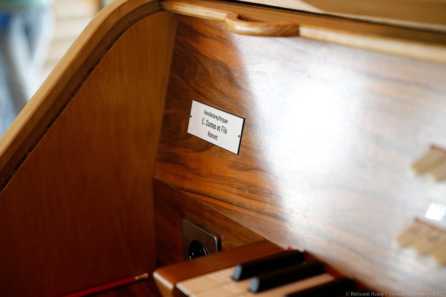 _NEV9867.jpg _NEV9867.jpg