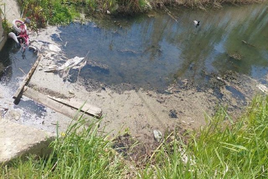 photo_2025-05-22_12-08-16.jpg photo_2025-05-22_12-08-16.jpg