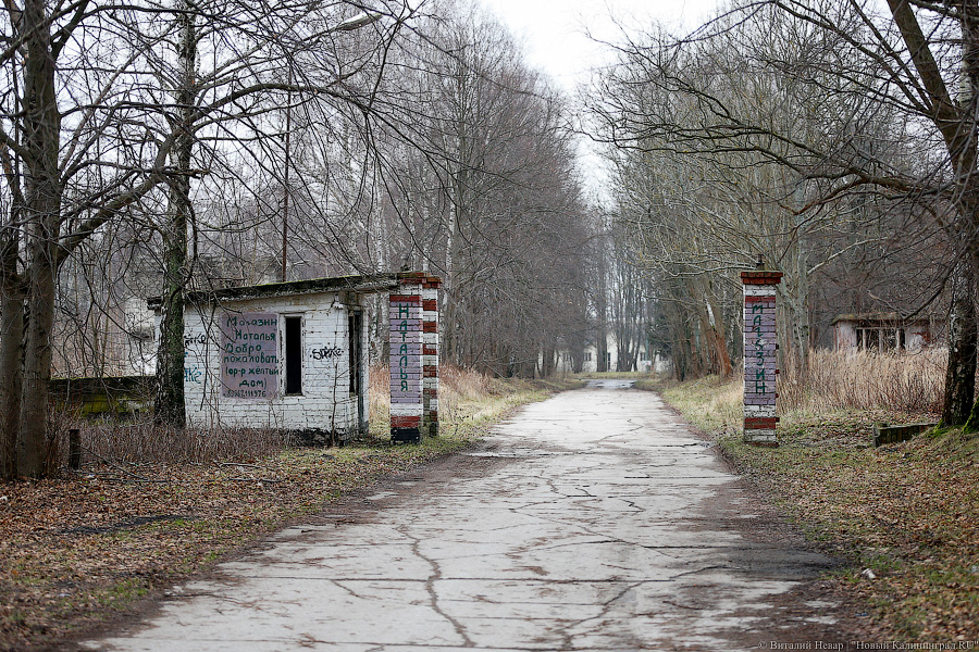 _NEV7945.jpg _NEV7945.jpg