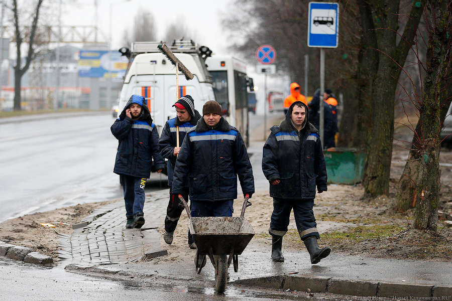 _NEV4830.jpg _NEV4830.jpg