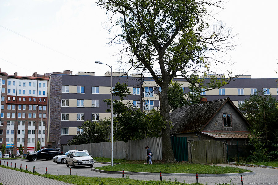 _NEV7303.jpg _NEV7303.jpg