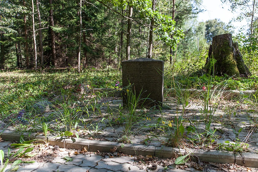 4-Сосновка-Szeldkehmen.jpg 4-Сосновка-Szeldkehmen.jpg