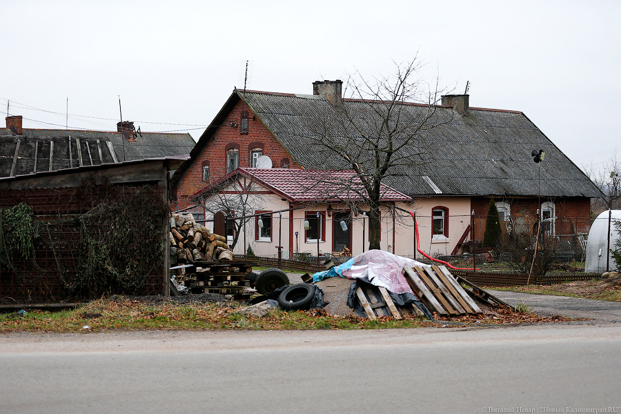 _NEV7949.jpg _NEV7949.jpg