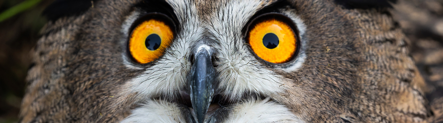 df94r71fkunyz1g7qjr0wrmz1l0j72hd-2.jpg df94r71fkunyz1g7qjr0wrmz1l0j72hd-2.jpg