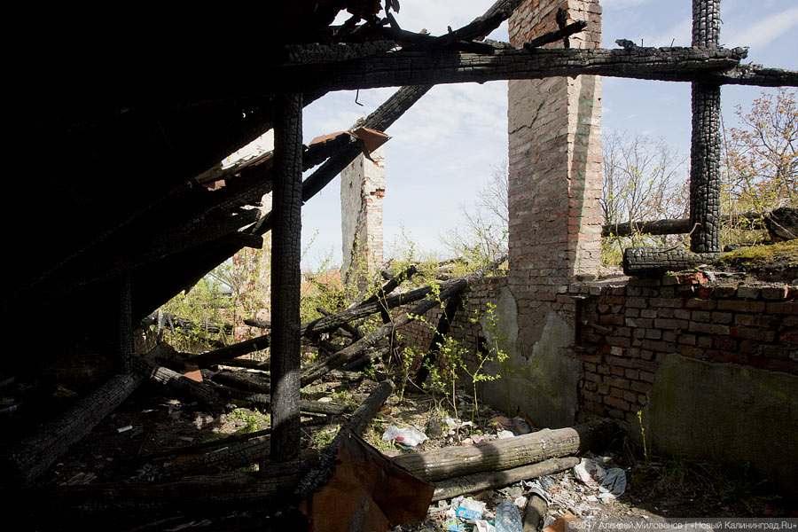 MIL_0153.jpg MIL_0153.jpg