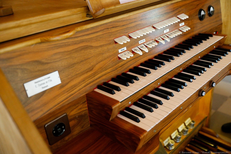 _NEV9853.jpg _NEV9853.jpg