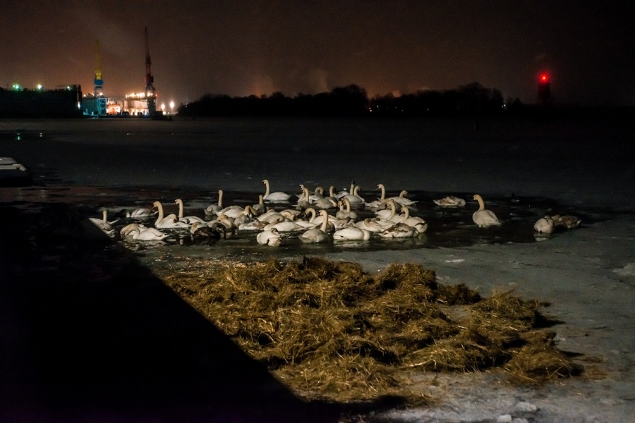 PHOTO-2021-02-06-20-12-06.jpg PHOTO-2021-02-06-20-12-06.jpg