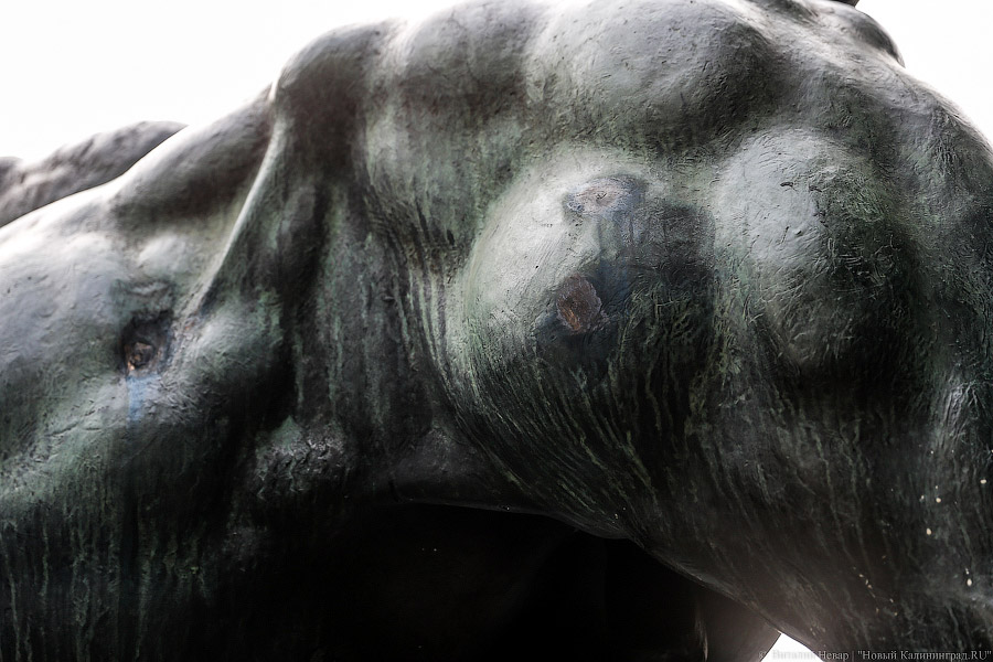 _NEV2125.jpg _NEV2125.jpg