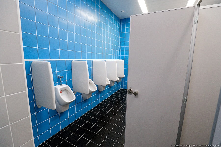 _NEV2721.jpg _NEV2721.jpg