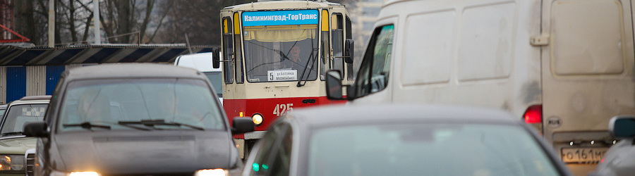 zn4t8aui8a2kk1h70qsdbku8puavzbdt (2).jpg