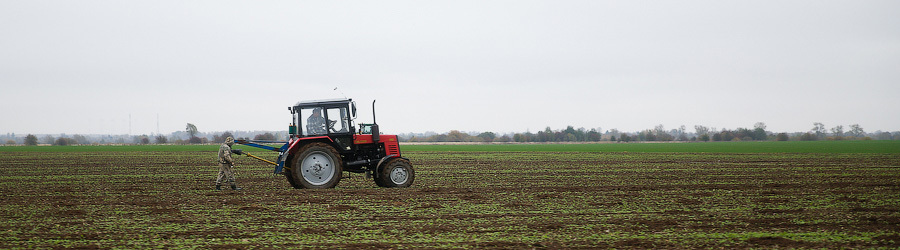 _NVV2982 (1).jpg _NVV2982 (1).jpg