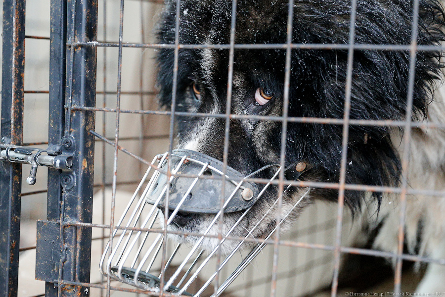 _NEV6222.jpg _NEV6222.jpg