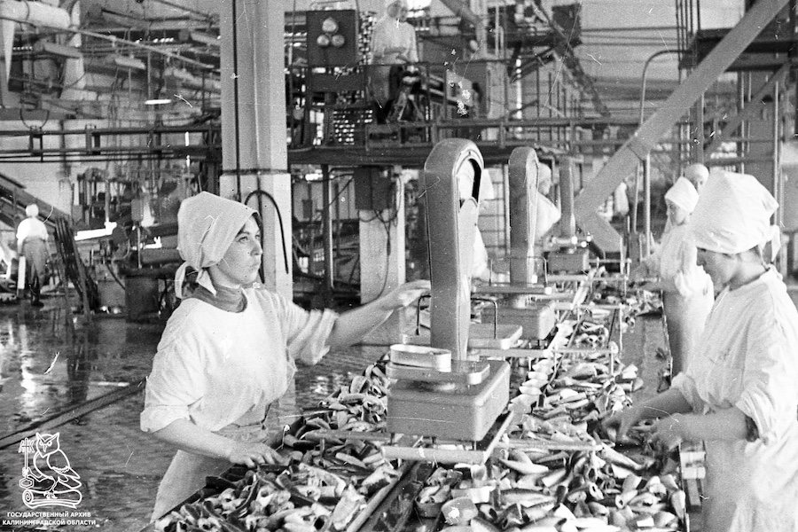 Рыбный цех .jpg