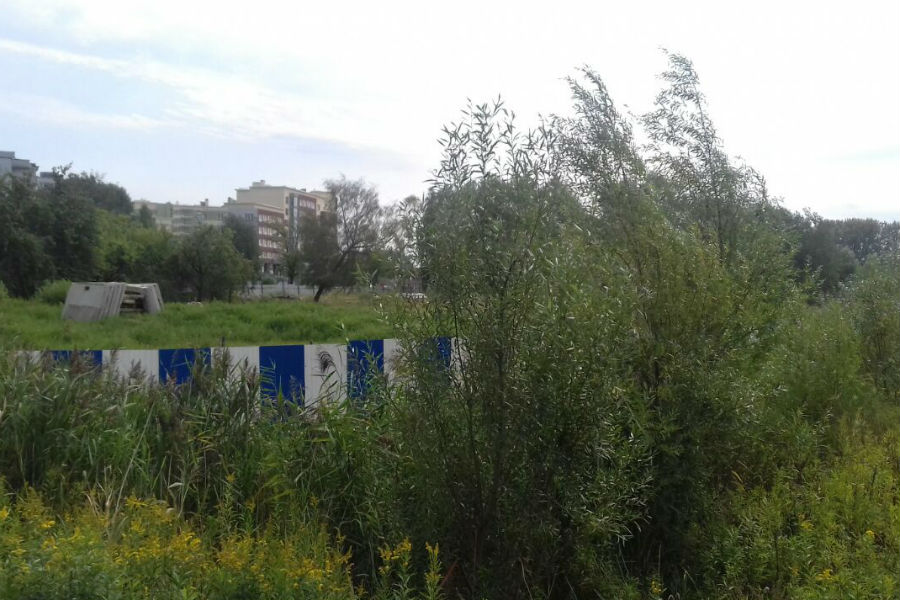 Земельный участок на Острове.jpg