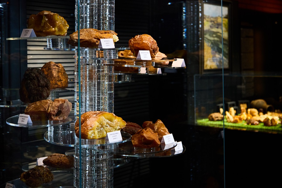 H70A8107.jpg H70A8107.jpg