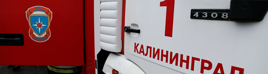 _NEV0061 (1)_cr.jpg _NEV0061 (1)_cr.jpg