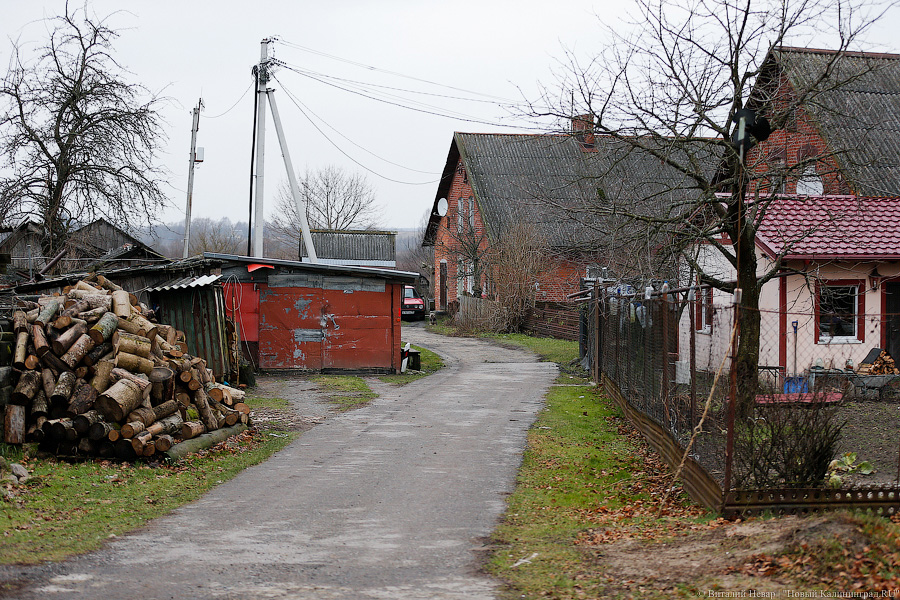 _NEV7950.jpg _NEV7950.jpg