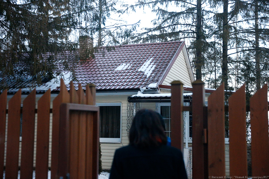 _NEV7795.jpg _NEV7795.jpg