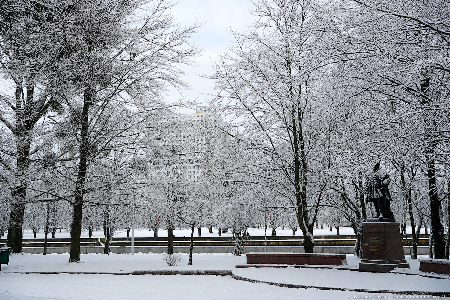 _NEV2977.jpg _NEV2977.jpg