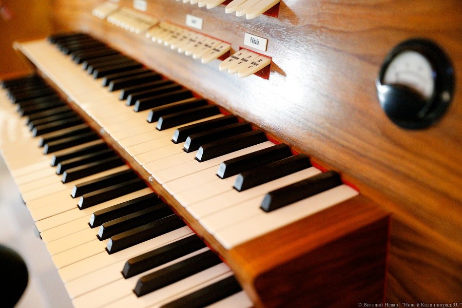 _NEV9866.jpg _NEV9866.jpg