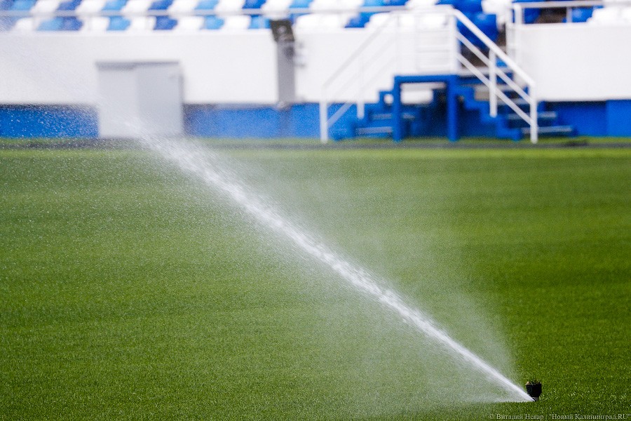 _NEV2668.jpg _NEV2668.jpg