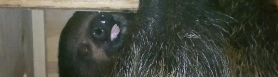 r0zwbxo7vapipg2mecb60vdyzcs21jlu (1).jpg