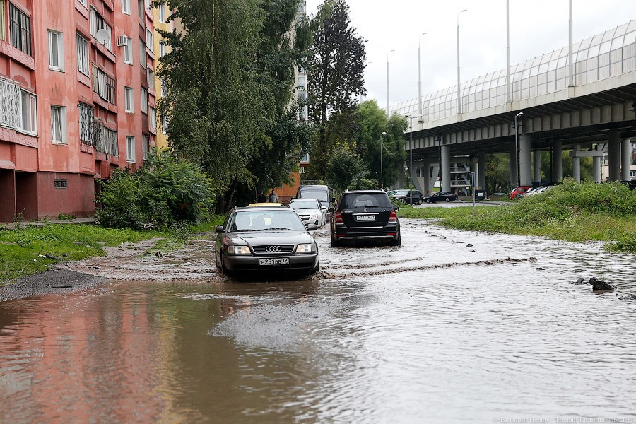 _NEV6691.jpg _NEV6691.jpg