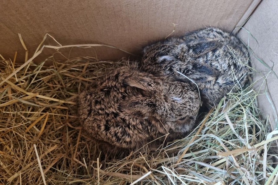 photo_2023-04-06_03-53-39.jpg photo_2023-04-06_03-53-39.jpg