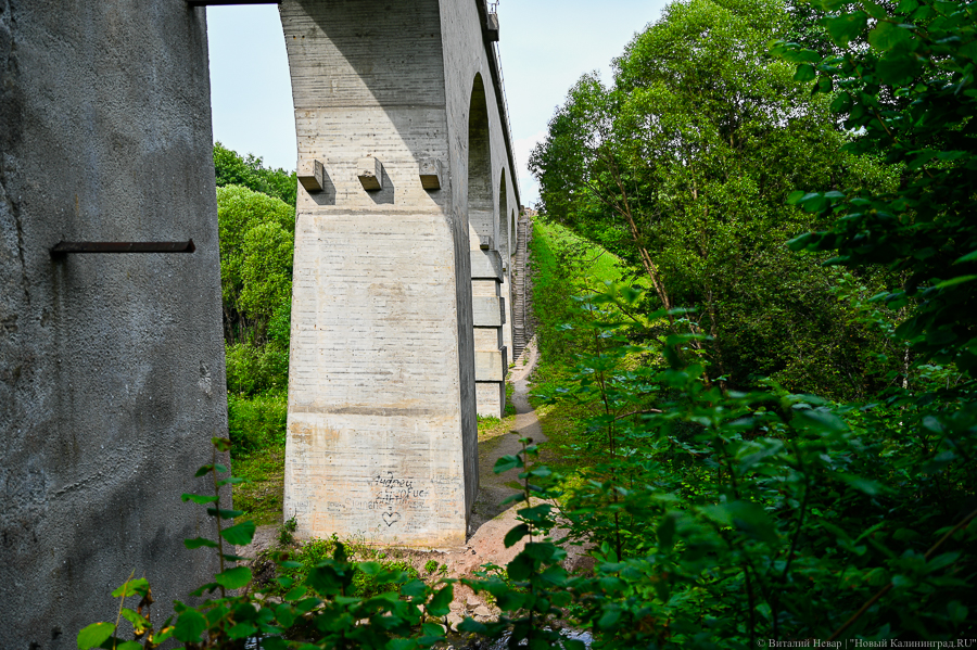 _NVR7447.jpg _NVR7447.jpg