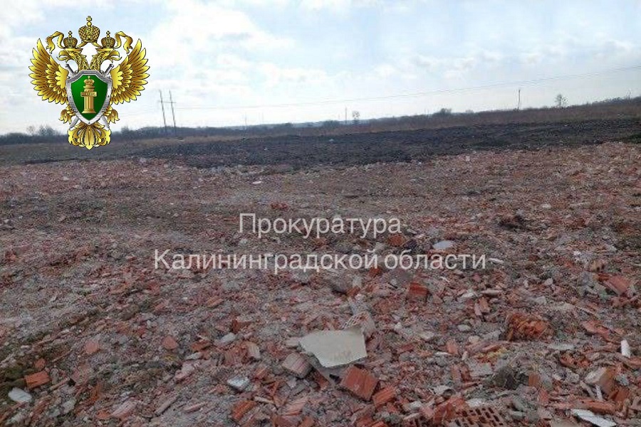 photo_2025-11-17_11-28-59.jpg photo_2025-11-17_11-28-59.jpg