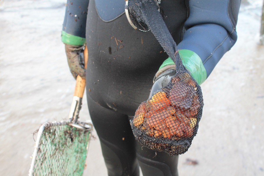 2015-11-13 14-21-01.JPG