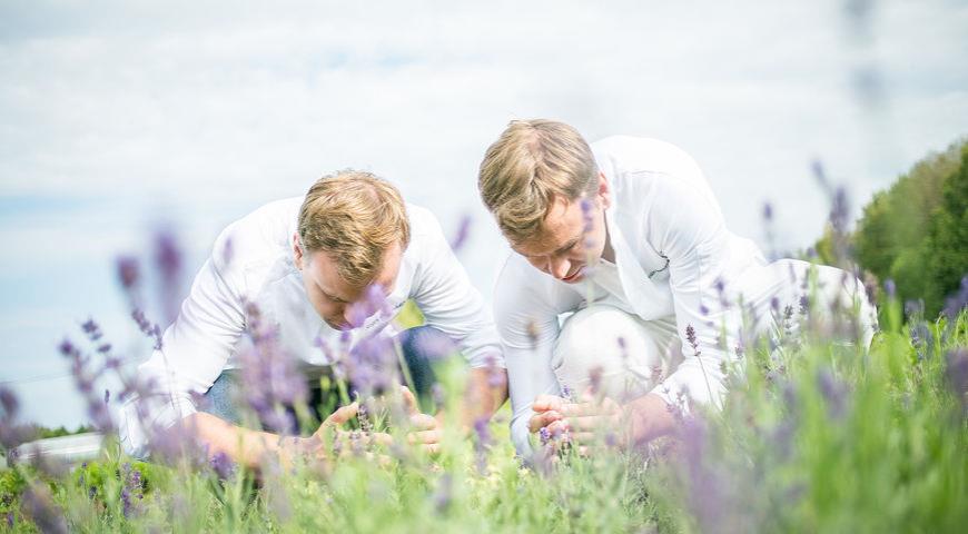 братья.jpg братья.jpg