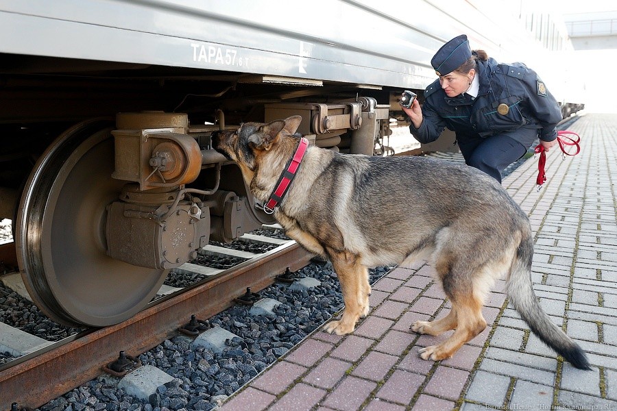 _NEV5308.jpg _NEV5308.jpg