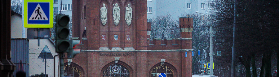 0NVV9763111_cr.jpg 0NVV9763111_cr.jpg