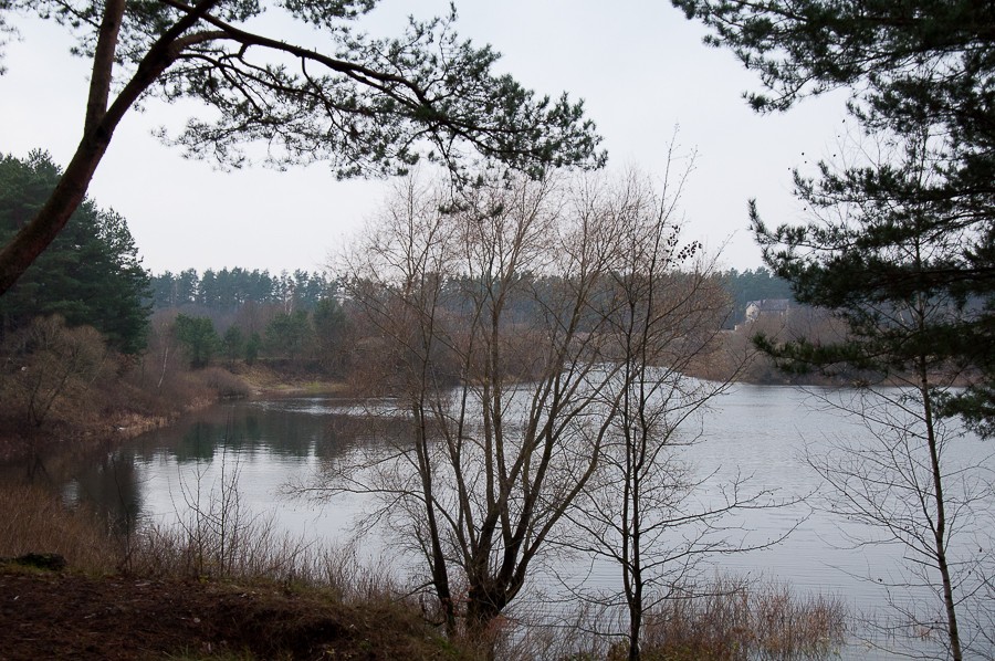 DSC_0568.jpg
