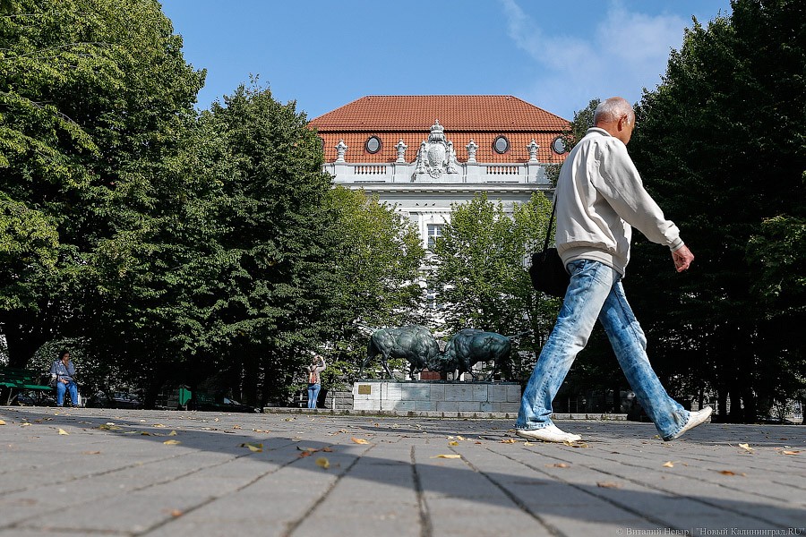 _NEV2144.jpg _NEV2144.jpg