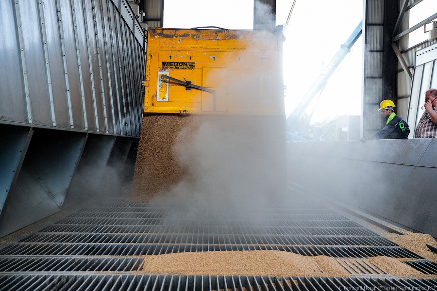 _NEV2464.jpg _NEV2464.jpg