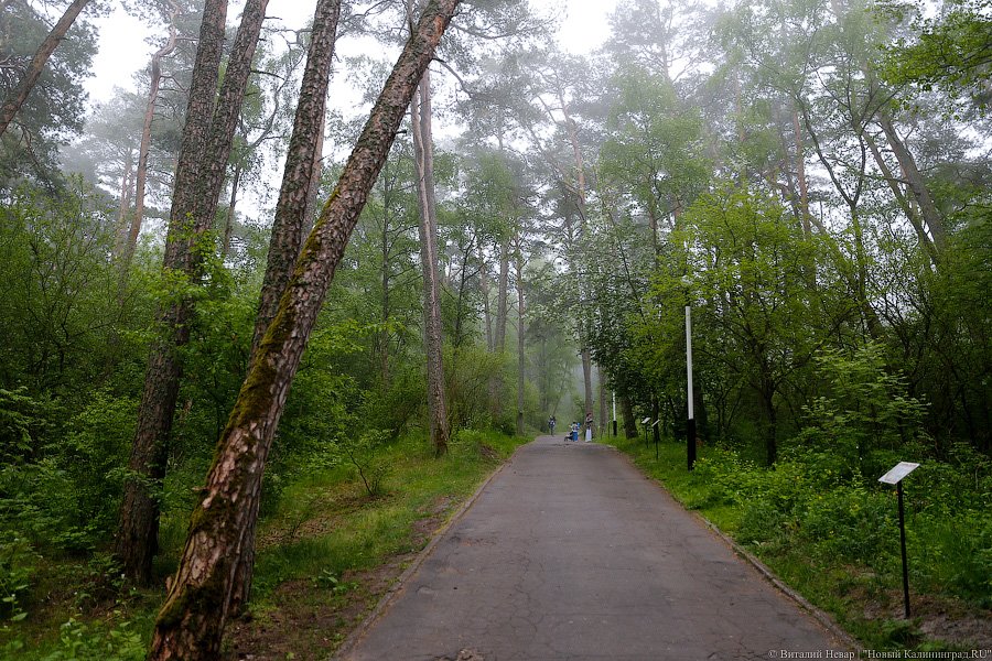 _NEV0796.jpg