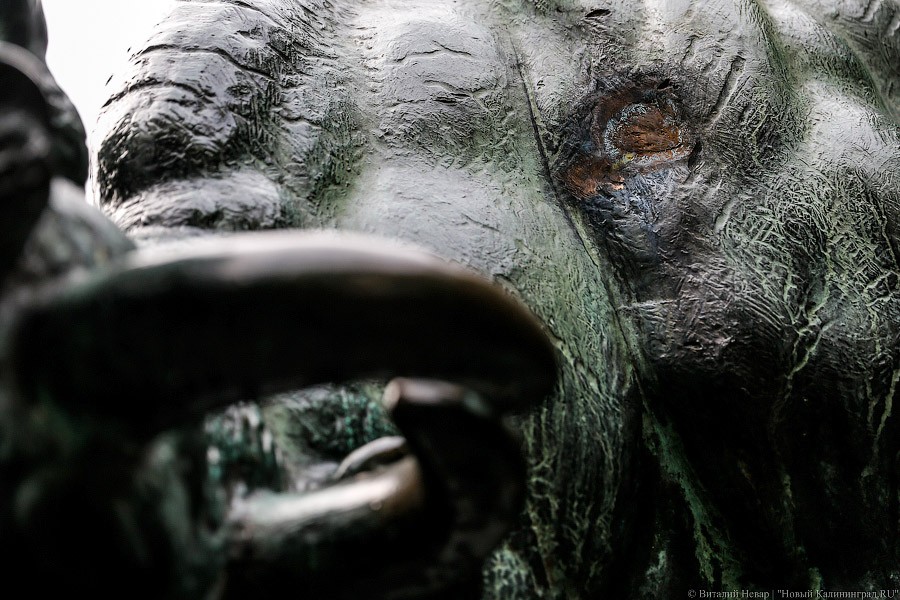 _NEV2124.jpg _NEV2124.jpg