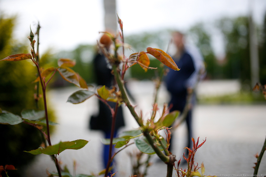 _NEV5541.jpg _NEV5541.jpg