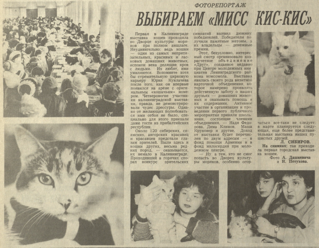 Кис-кис-123.png Кис-кис-123.png