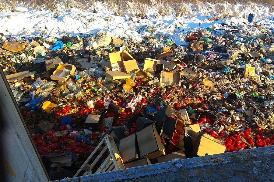 IMG_20210119_141146.jpg IMG_20210119_141146.jpg