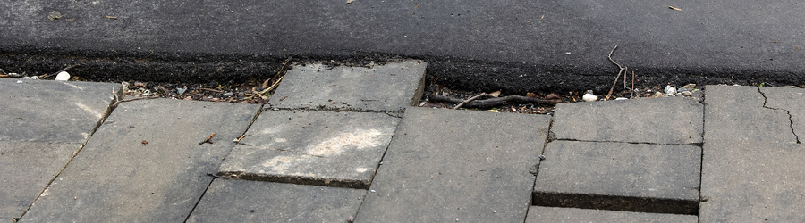 UVL_7768-CR3_DxO_DeepPRIME_cr.jpg UVL_7768-CR3_DxO_DeepPRIME_cr.jpg