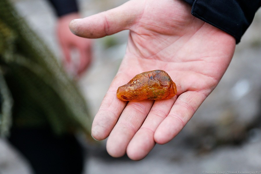 _NEV4471.jpg _NEV4471.jpg