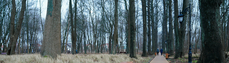 NVR03985_cr.jpg NVR03985_cr.jpg
