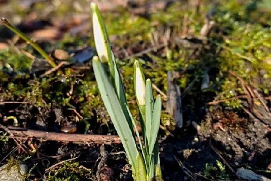 bb463eae_237e_4df8_a1db_425a02098738 (1).jpg