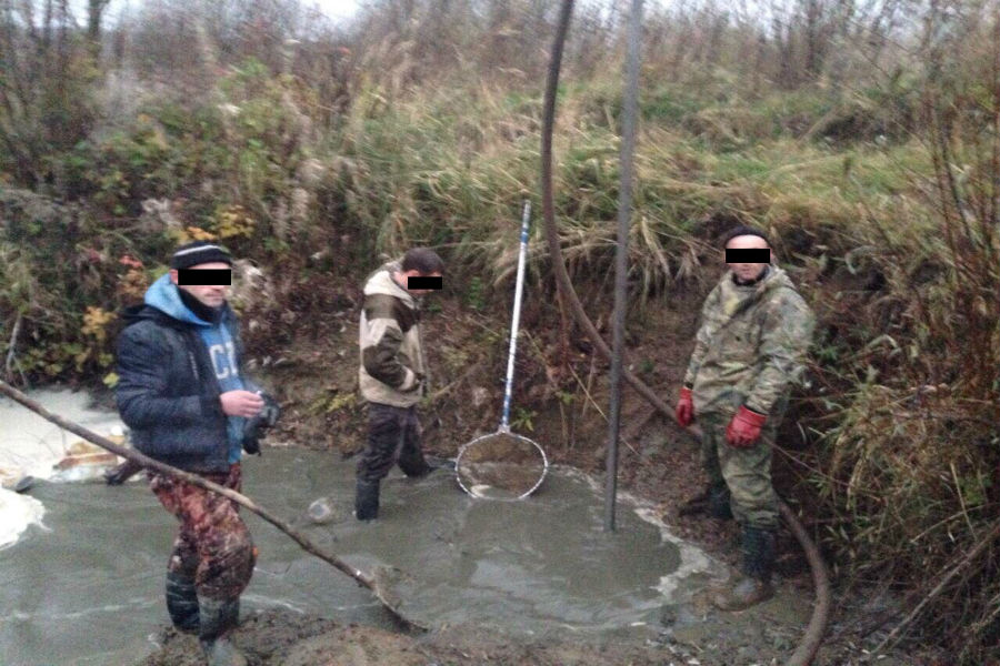 Зеленоградский р-н (3).jpg