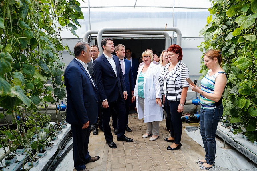 _NEV2545.jpg _NEV2545.jpg